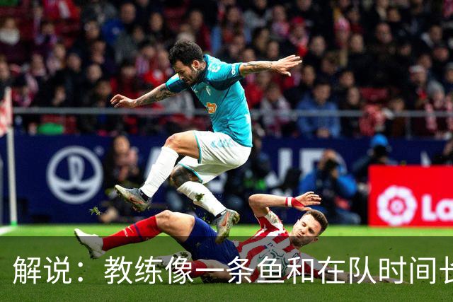解说：教练像一条鱼&在队时间长了就会发臭 杜锋话语出现效应递减